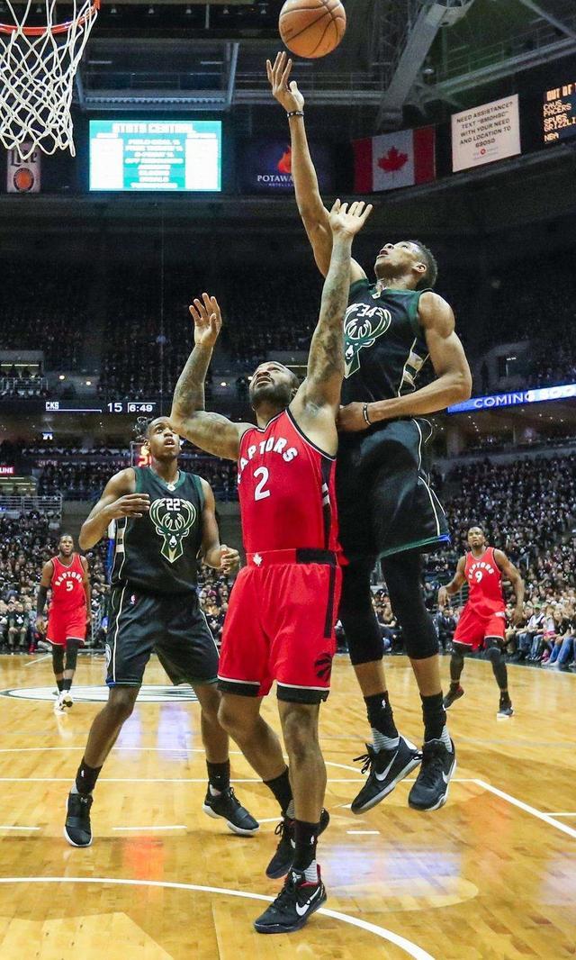 欧篮联赛程吃紧，多伦多猛龙今晨官宣签约，悬念犹存，轮换策略成焦点(多伦多猛龙夺冠阵容)